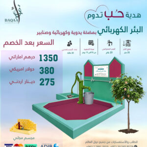 البئر الكهربائي بمضخة يدوية وكهربائية وصنابير